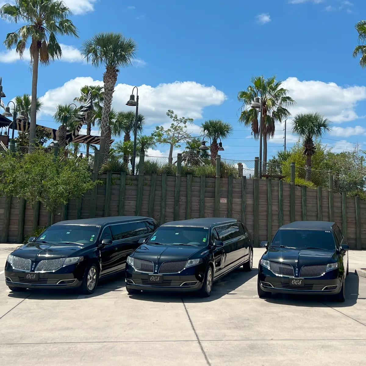 8 Passenger Limos