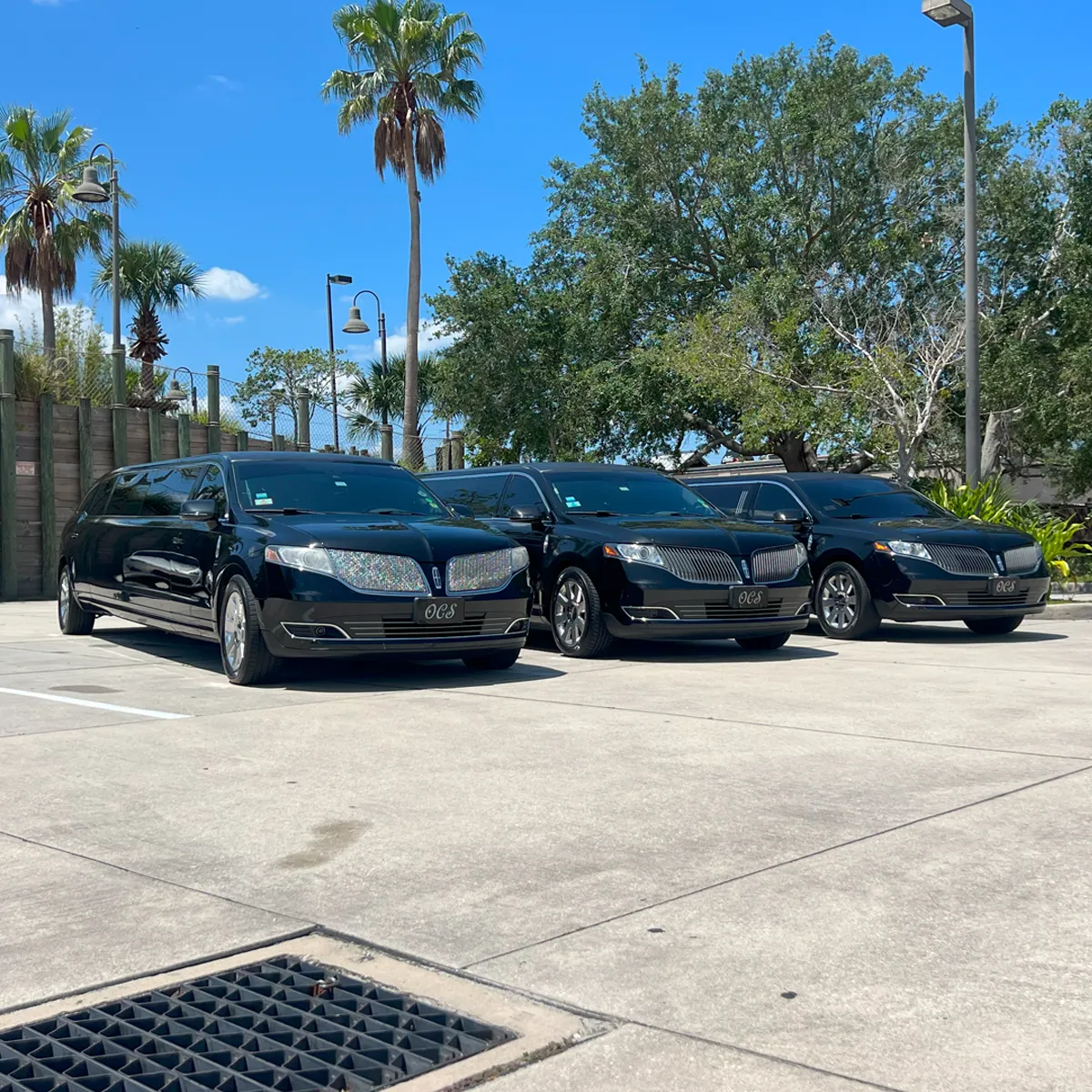 Professional chauffeur with an 8-passenger stretch limousine for Port Canaveral transport.